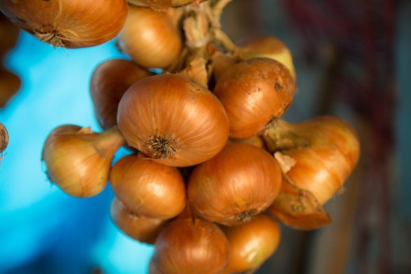 Kraken ссылка для тору