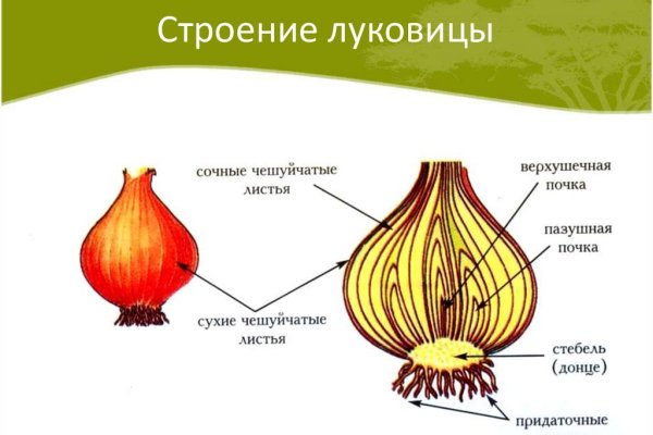 Не зачисляются деньги на кракен