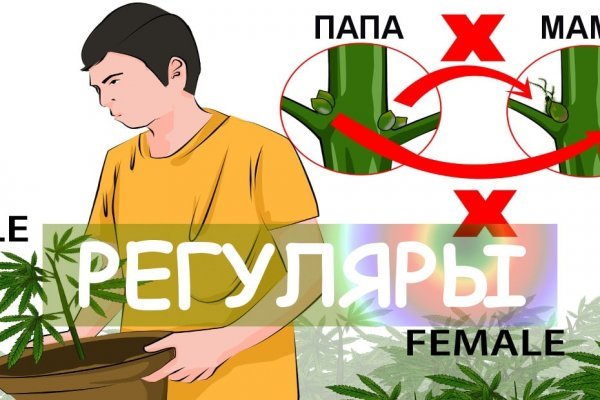 Мега кракен