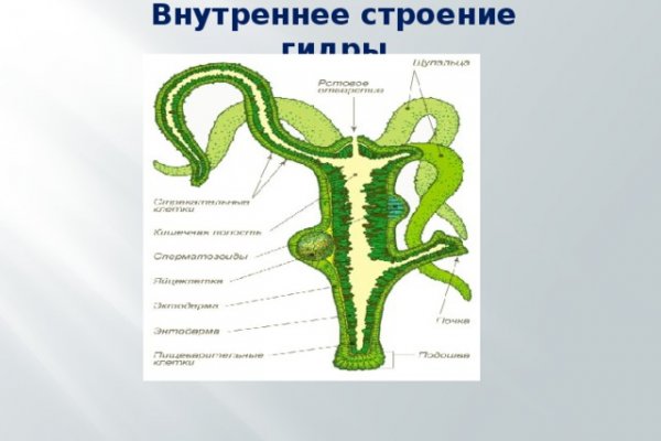 Кракен рабочая ссылка на сайт